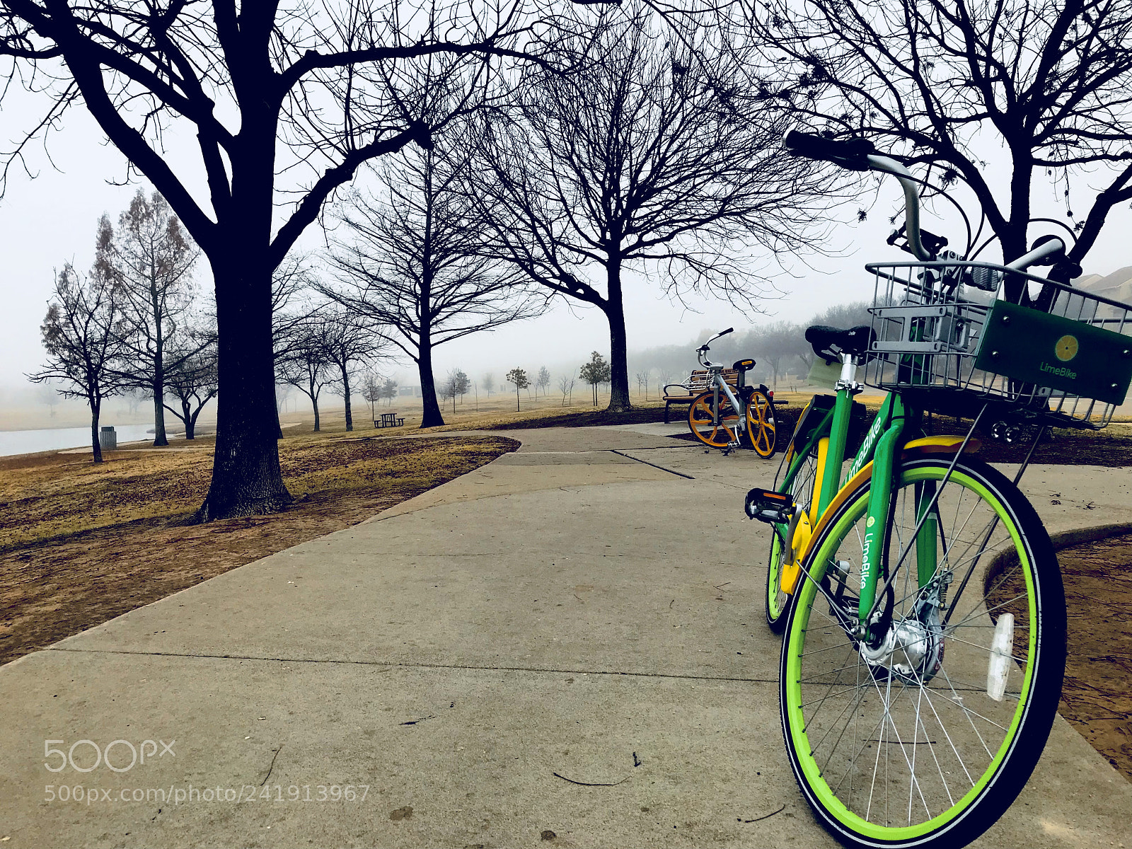 Apple iPhone 7 Plus sample photo. Take a ride photography
