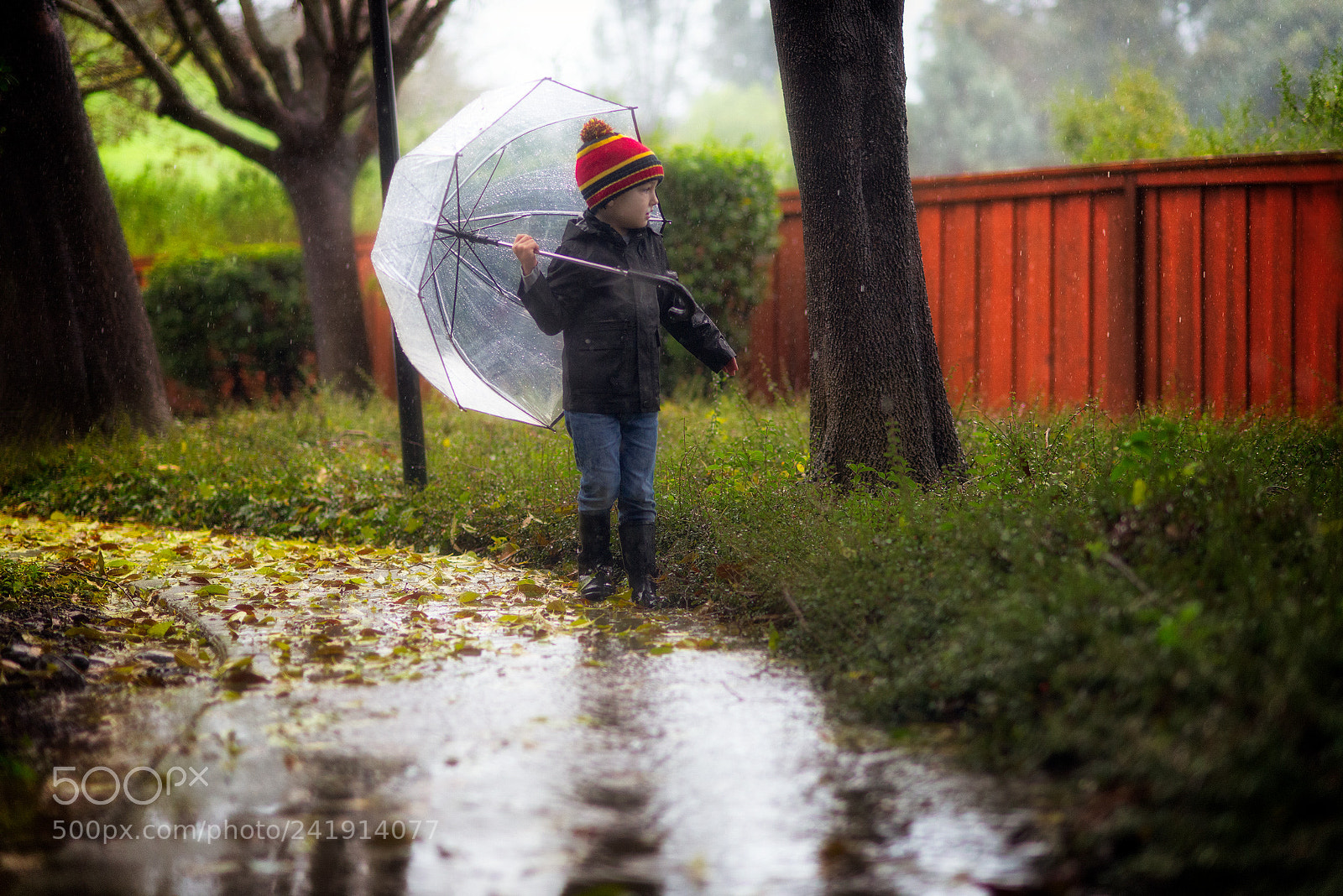 Nikon D600 sample photo. Rainy photography