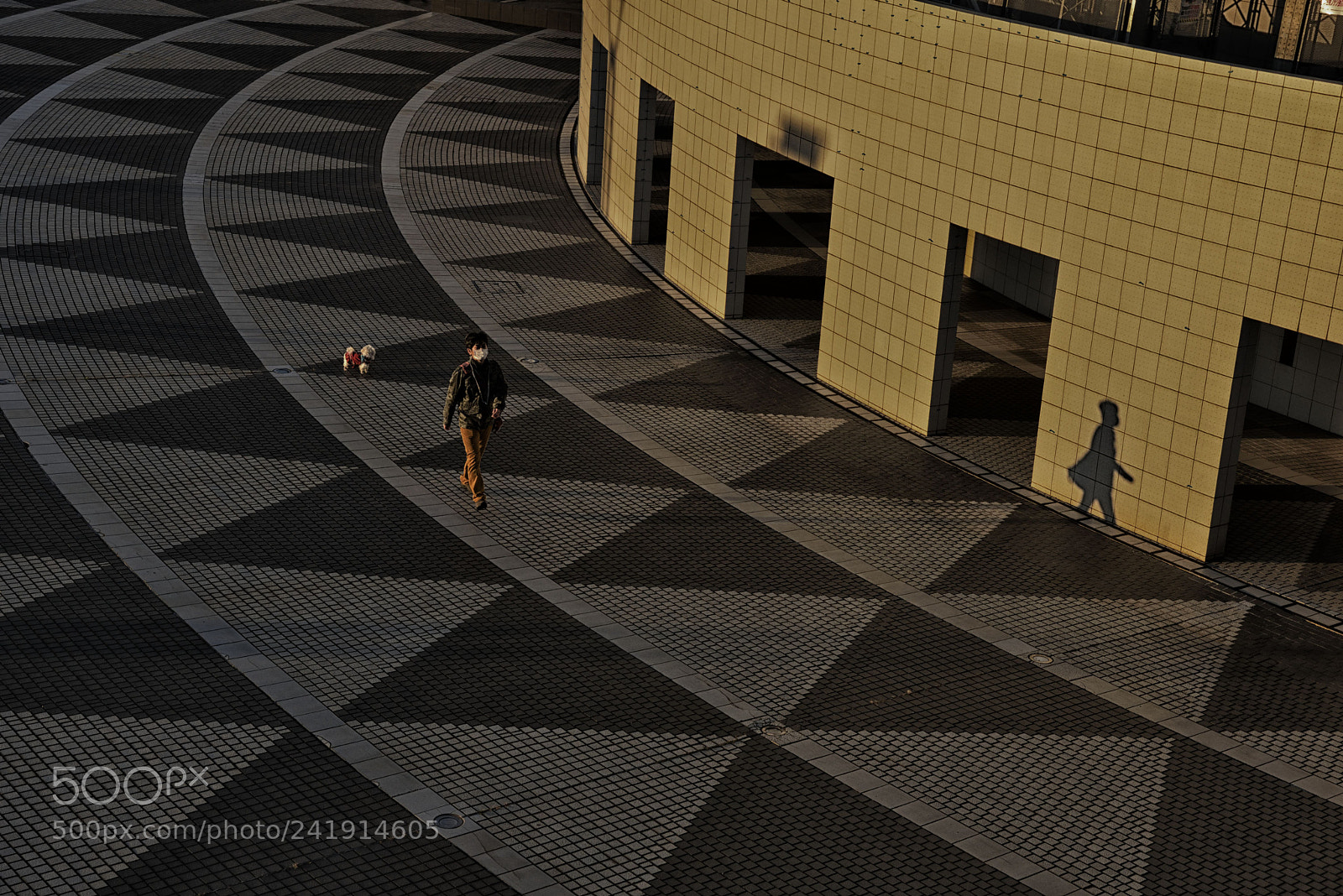 Nikon D600 sample photo. Walking photography