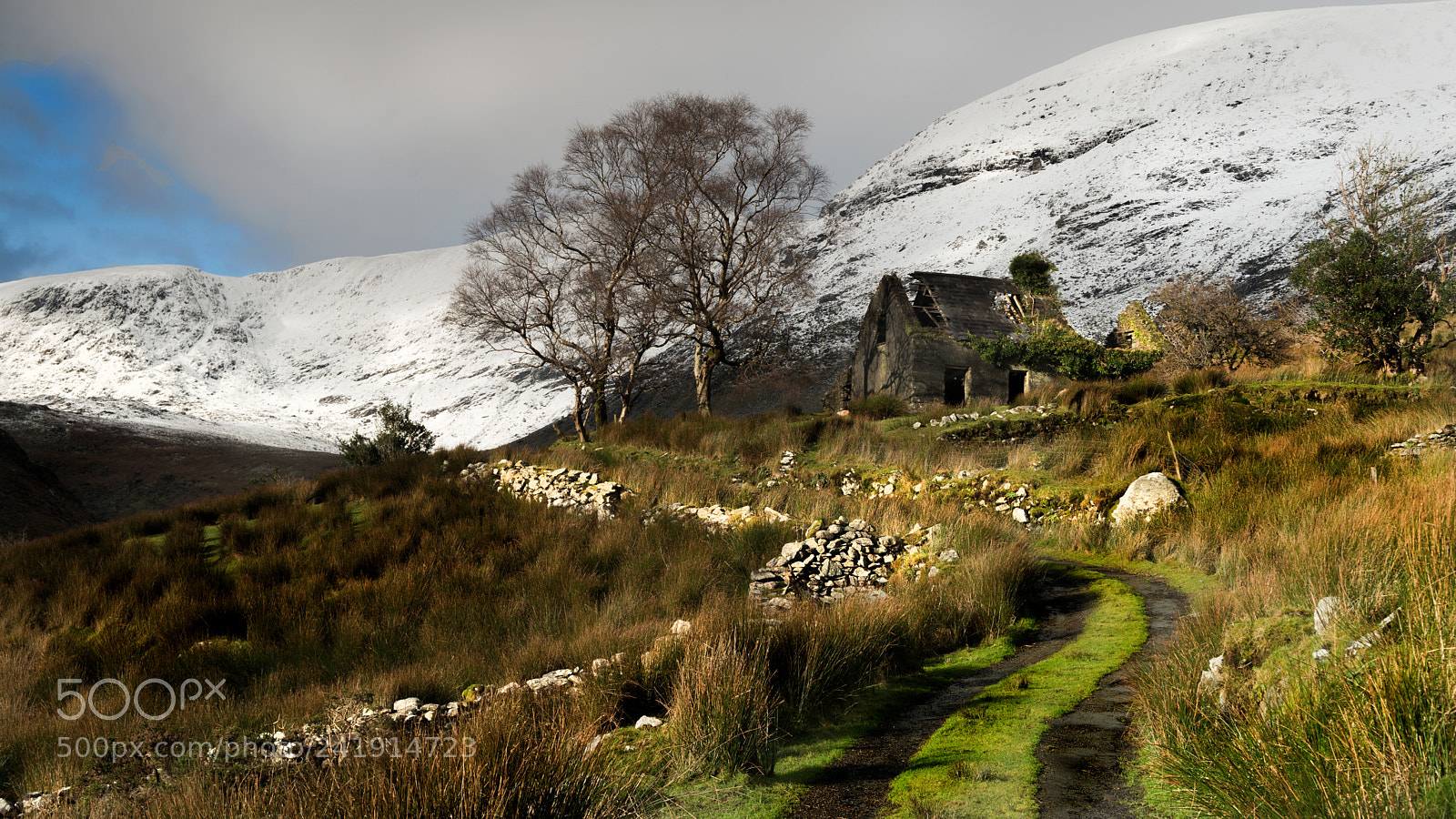 Nikon D810 sample photo. Drumluska cottage photography