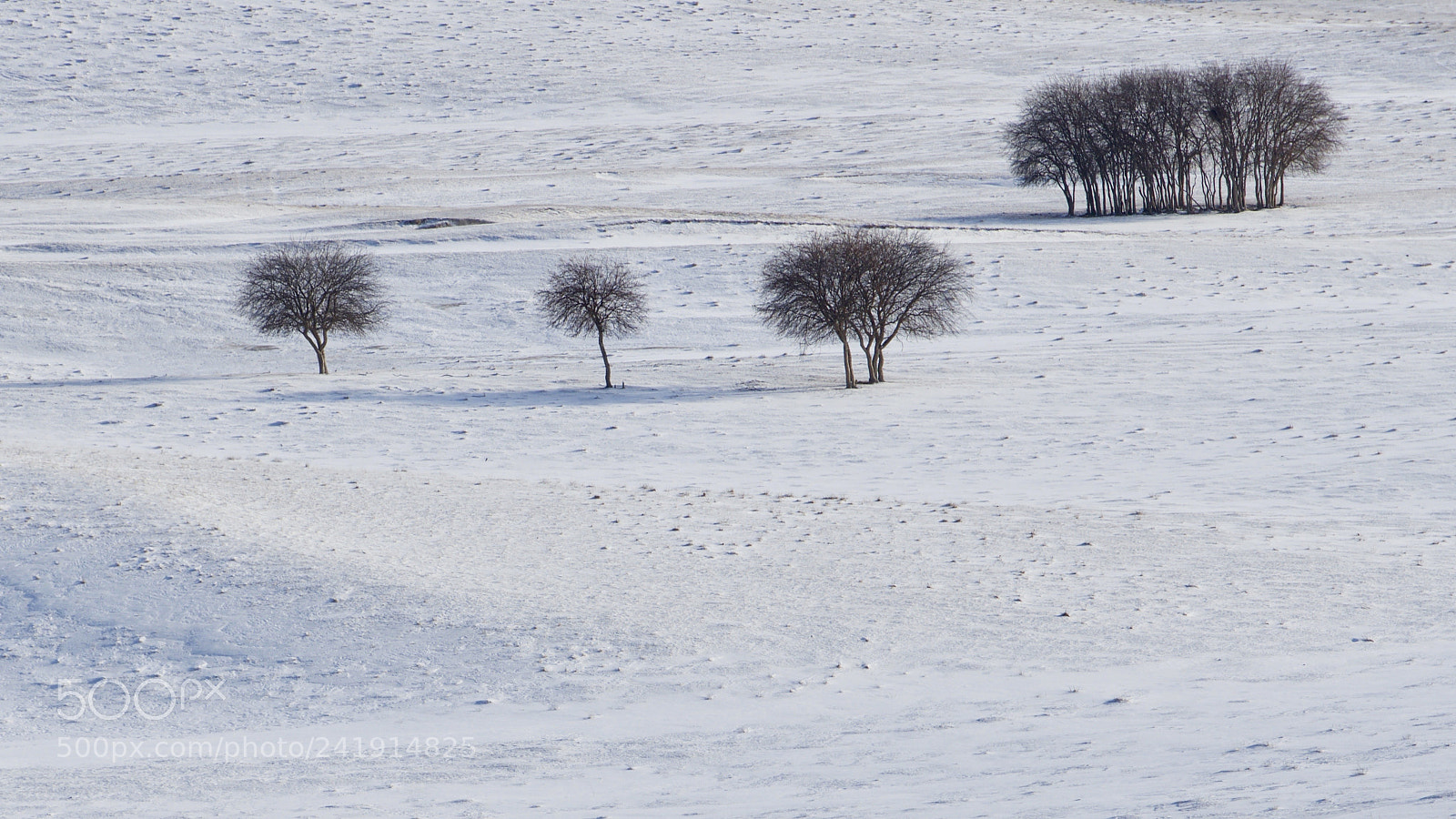 Nikon D800 sample photo. 3 + 1 photography