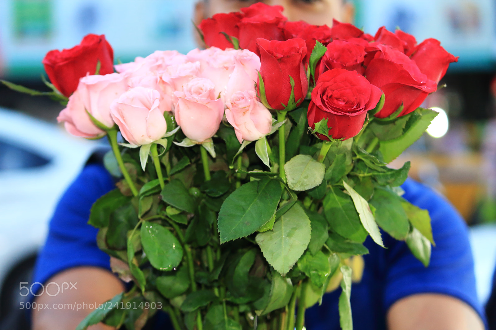 Canon EF-S 55-250mm F4-5.6 IS II sample photo. Flowers photography