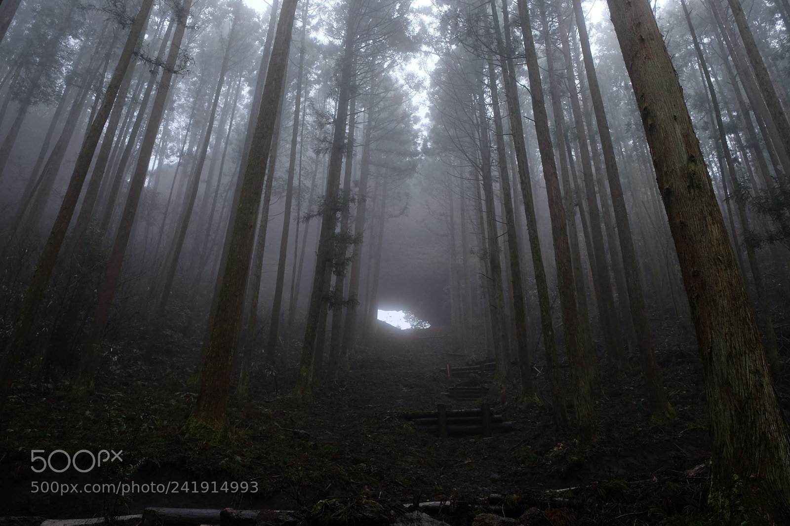 Fujifilm X-E2 sample photo. Hogeto rock photography