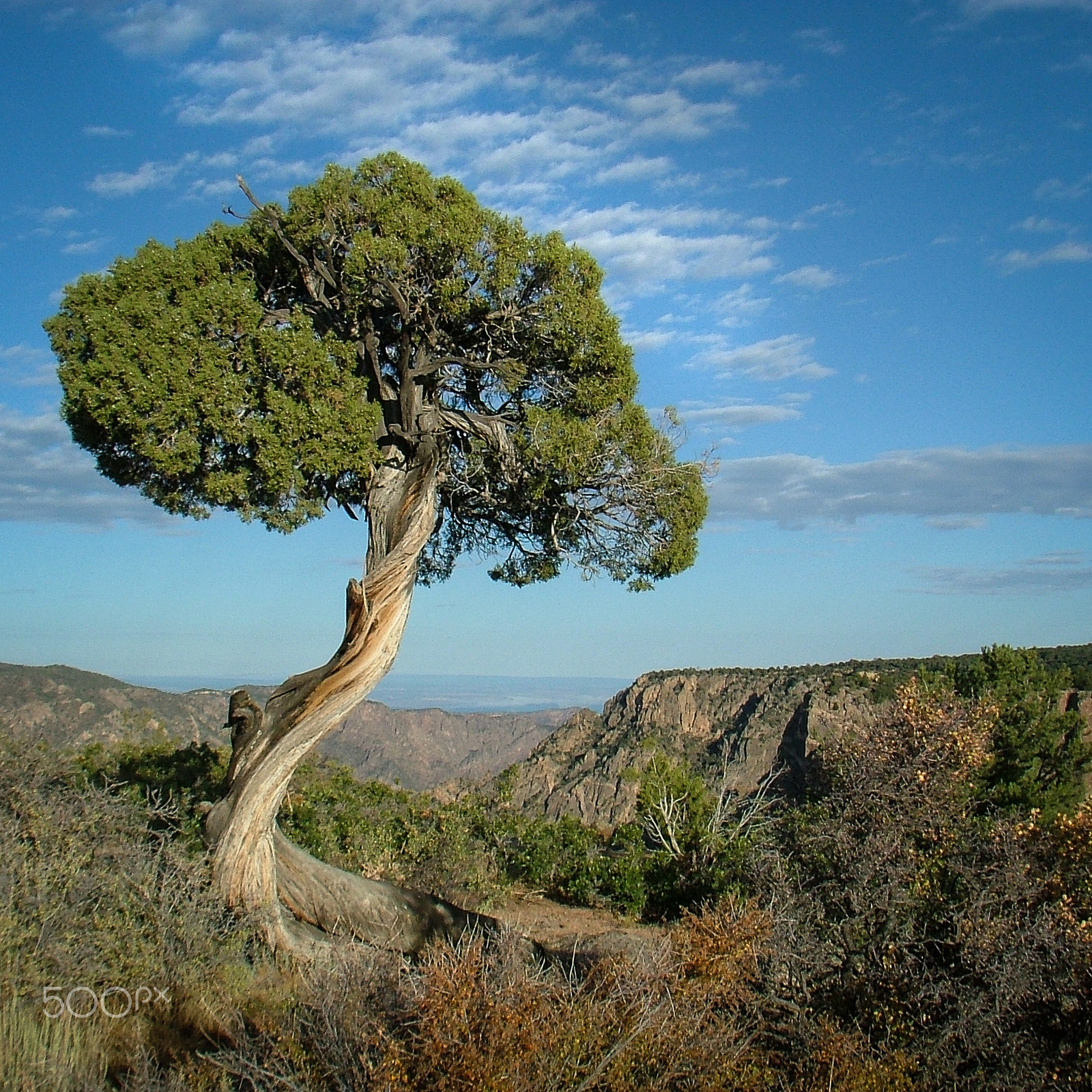 Fujifilm FinePix S5000 sample photo. Black canyon photography