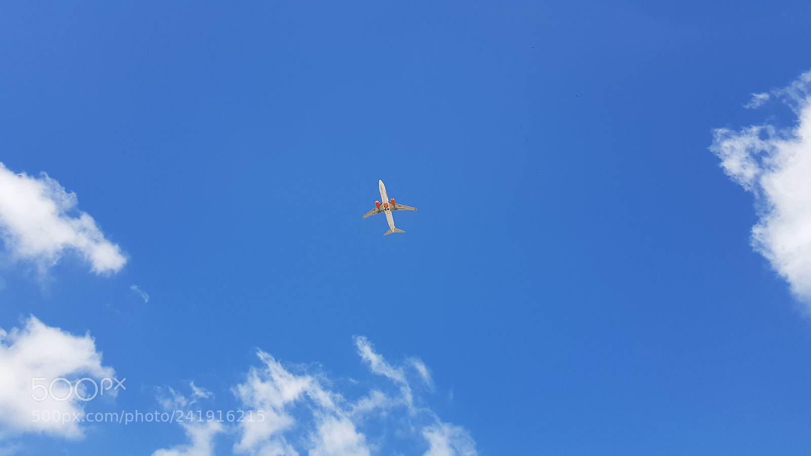 Samsung Galaxy S8 sample photo. Fly away photography