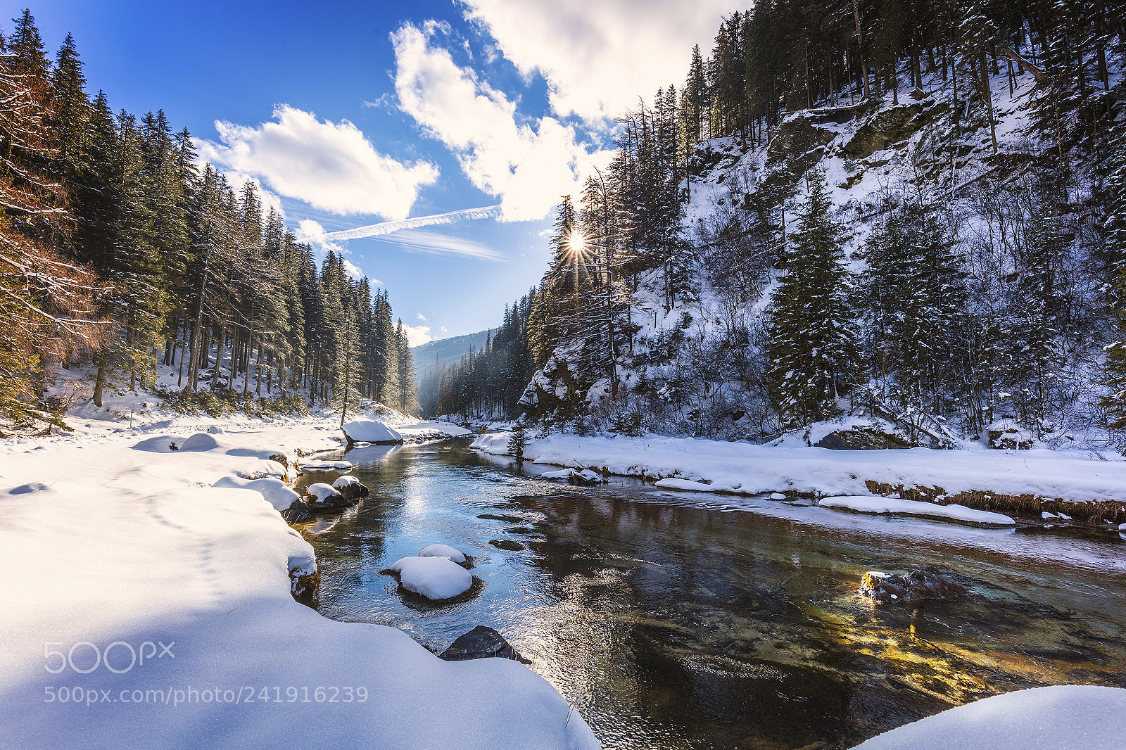 Canon EOS 5DS R sample photo. Perfect winter day photography