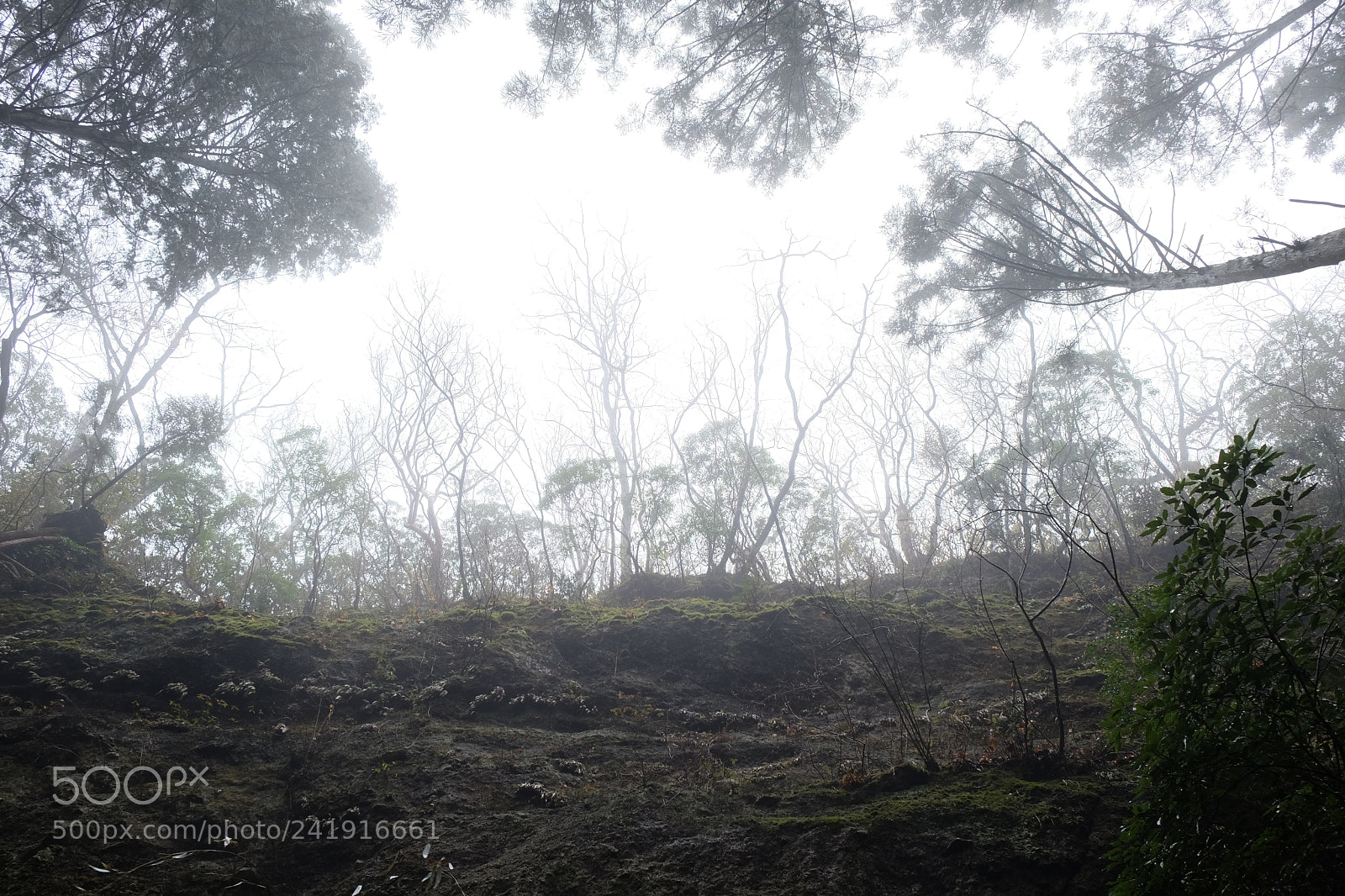 Fujifilm X-E2 sample photo. Hogeto rock 2 photography