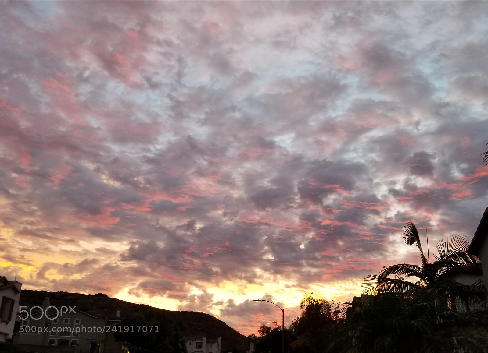 Samsung Galaxy S8 sample photo. Marvelous morning photography