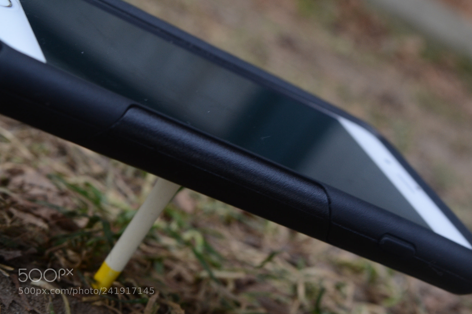 Nikon D3100 sample photo. Vantage point photography