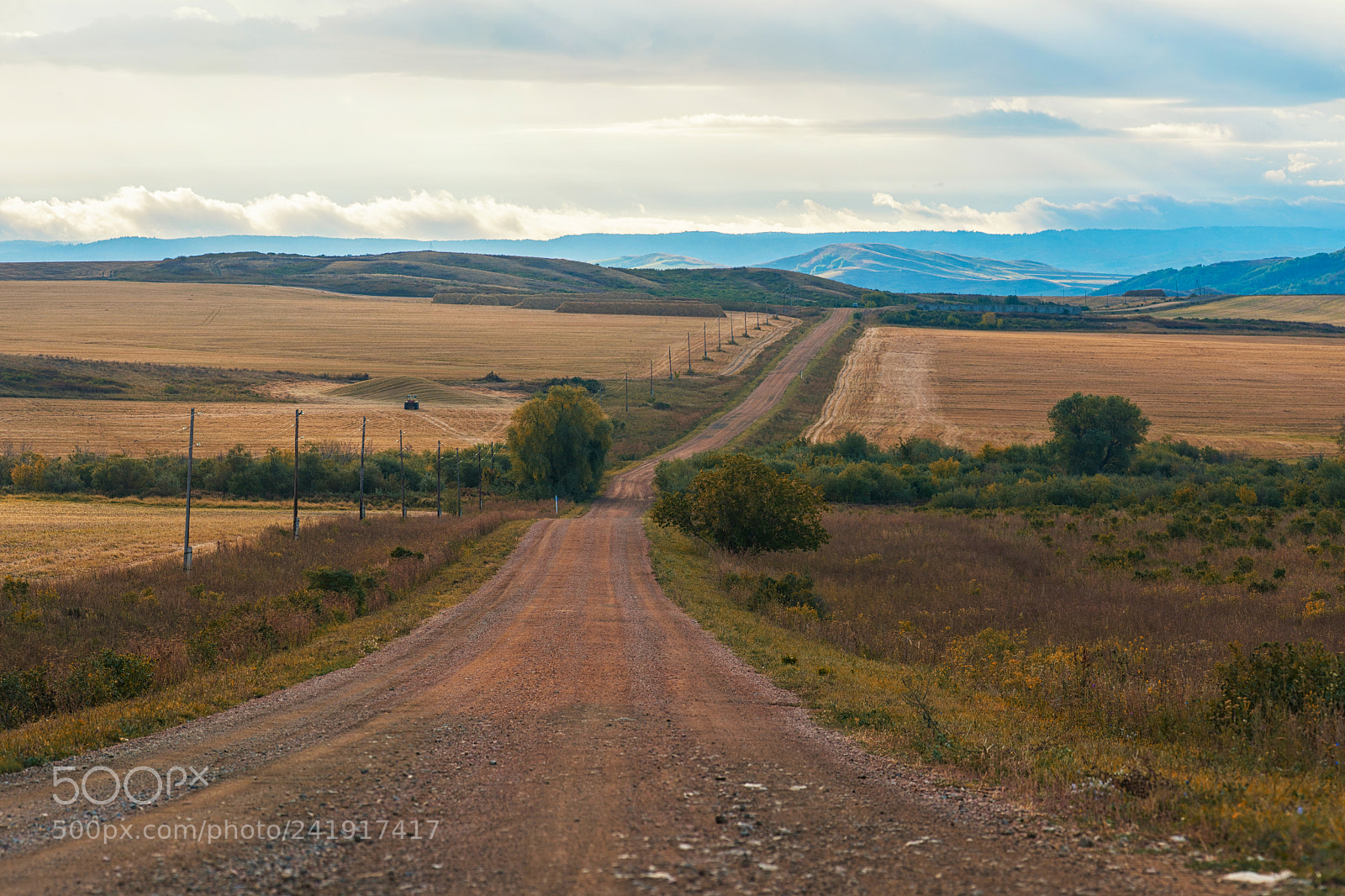 Nikon D700 sample photo. Road in the altay photography