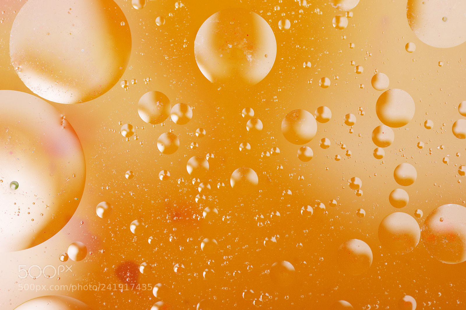 Pentax K-3 sample photo. Yellow photography