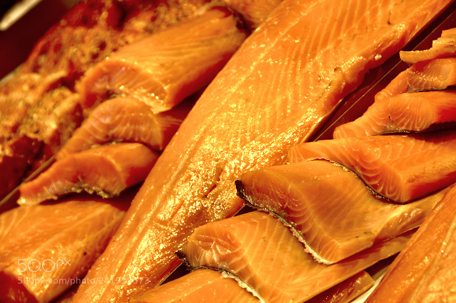 Nikon D90 sample photo. Norwegian salmon photography
