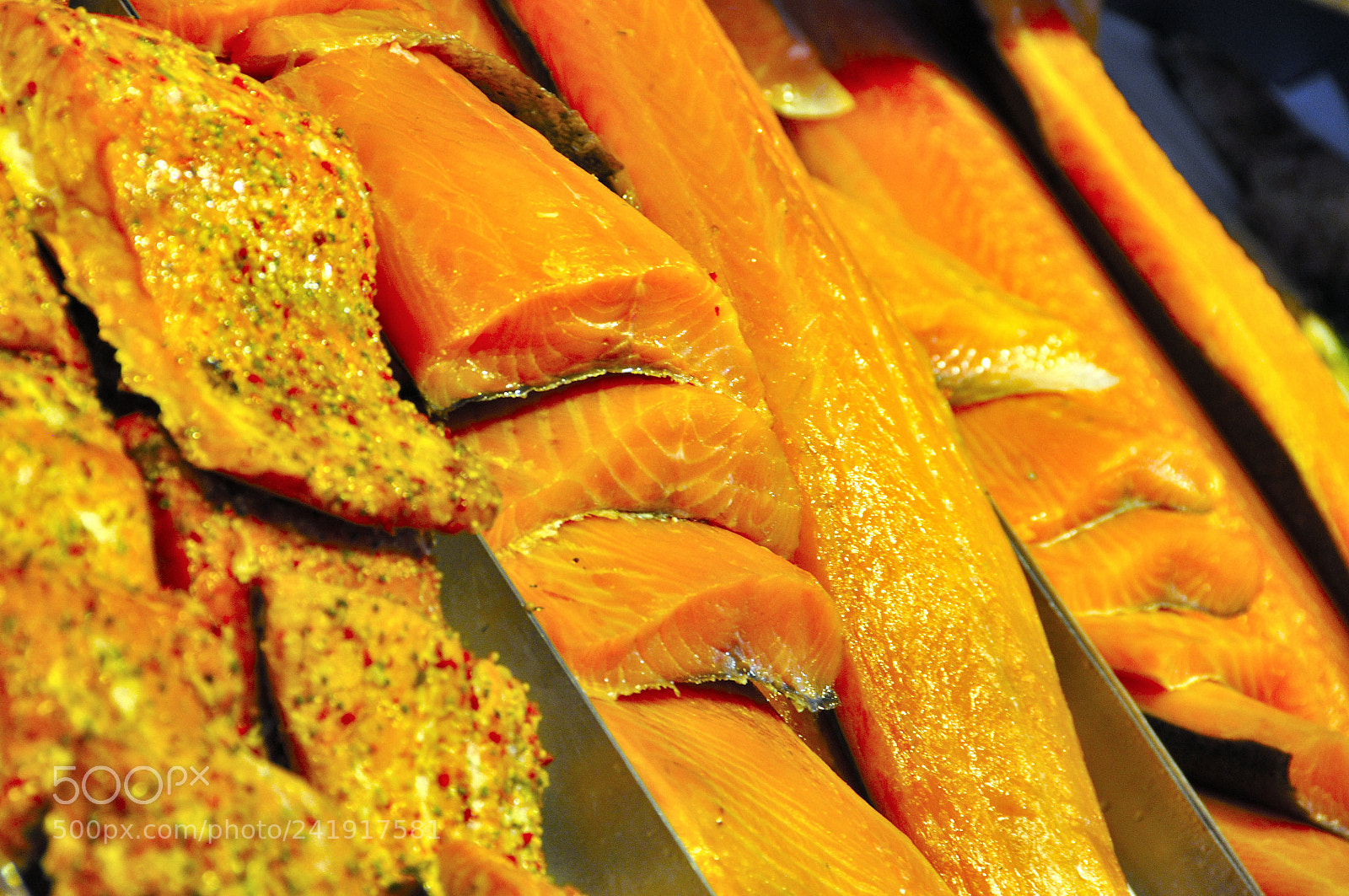 Nikon D90 sample photo. Norwegian salmon photography