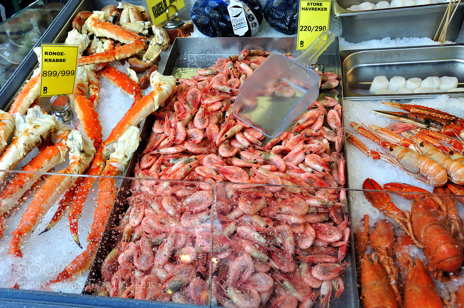 Nikon D90 sample photo. Fish market of bergen photography