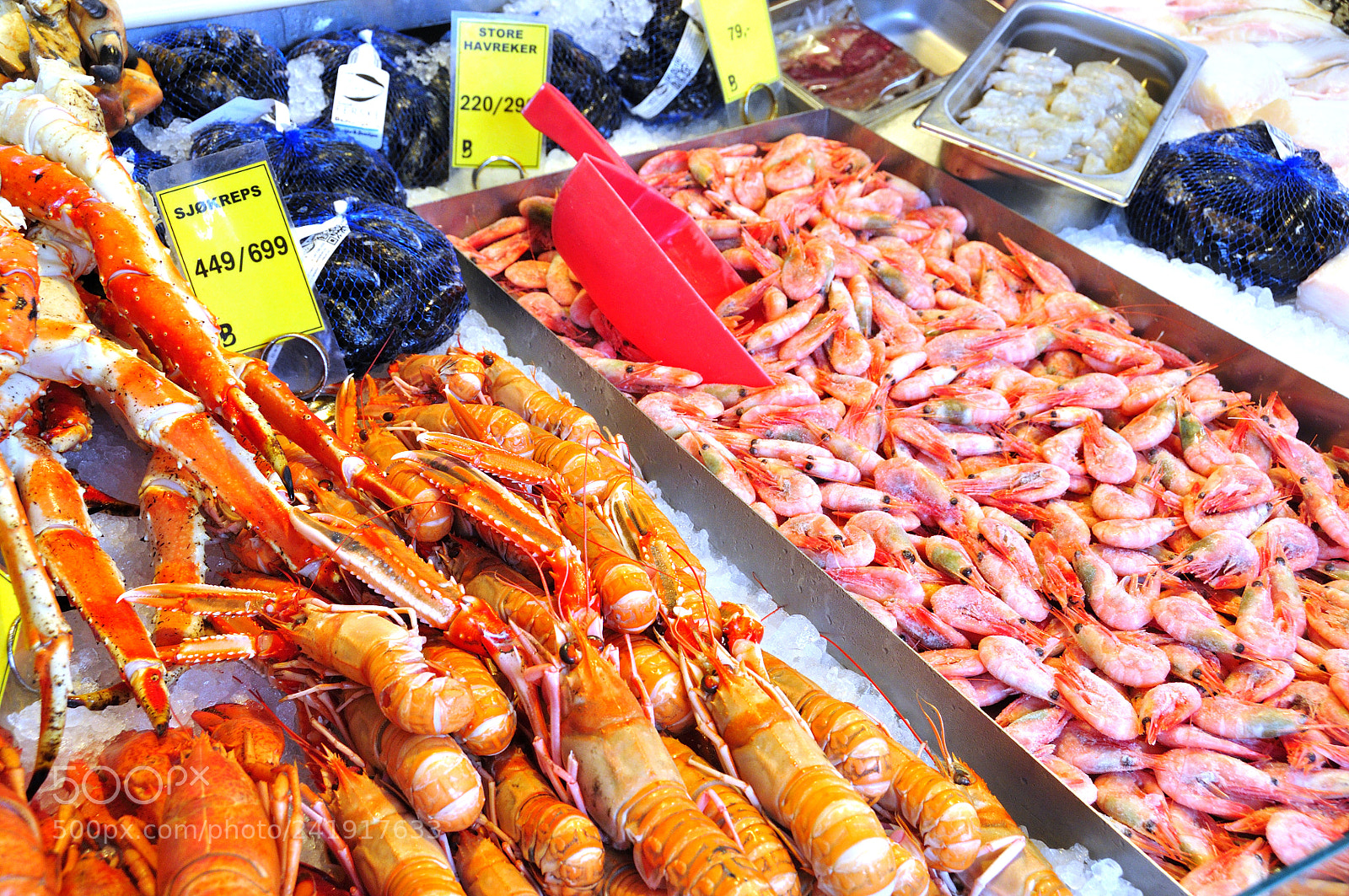 Nikon D90 sample photo. Fish market of bergen photography