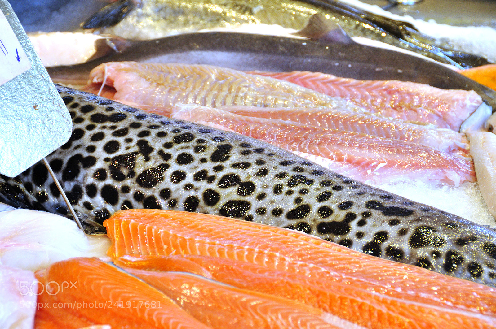 Nikon D90 sample photo. Fish market of bergen photography