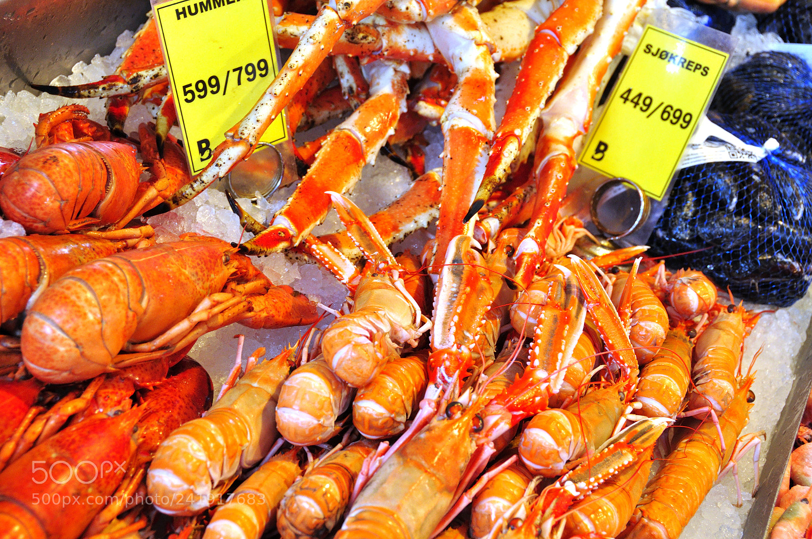 Nikon D90 sample photo. Fish market of bergen photography
