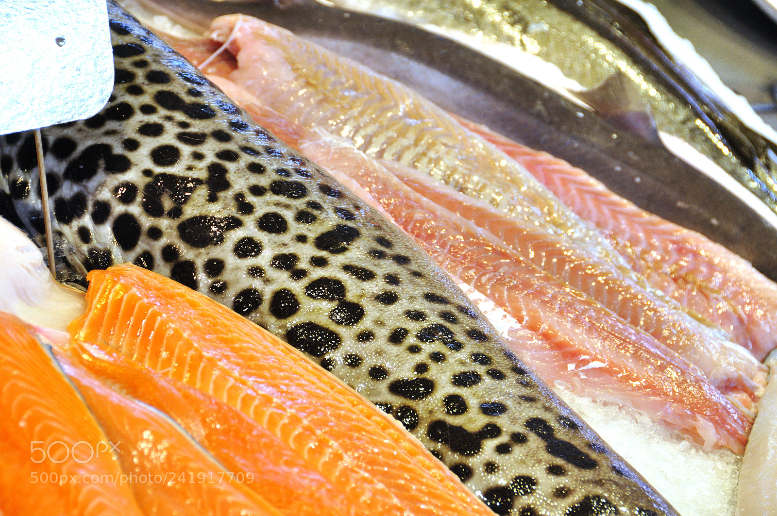 Nikon D90 sample photo. Fish market of bergen photography