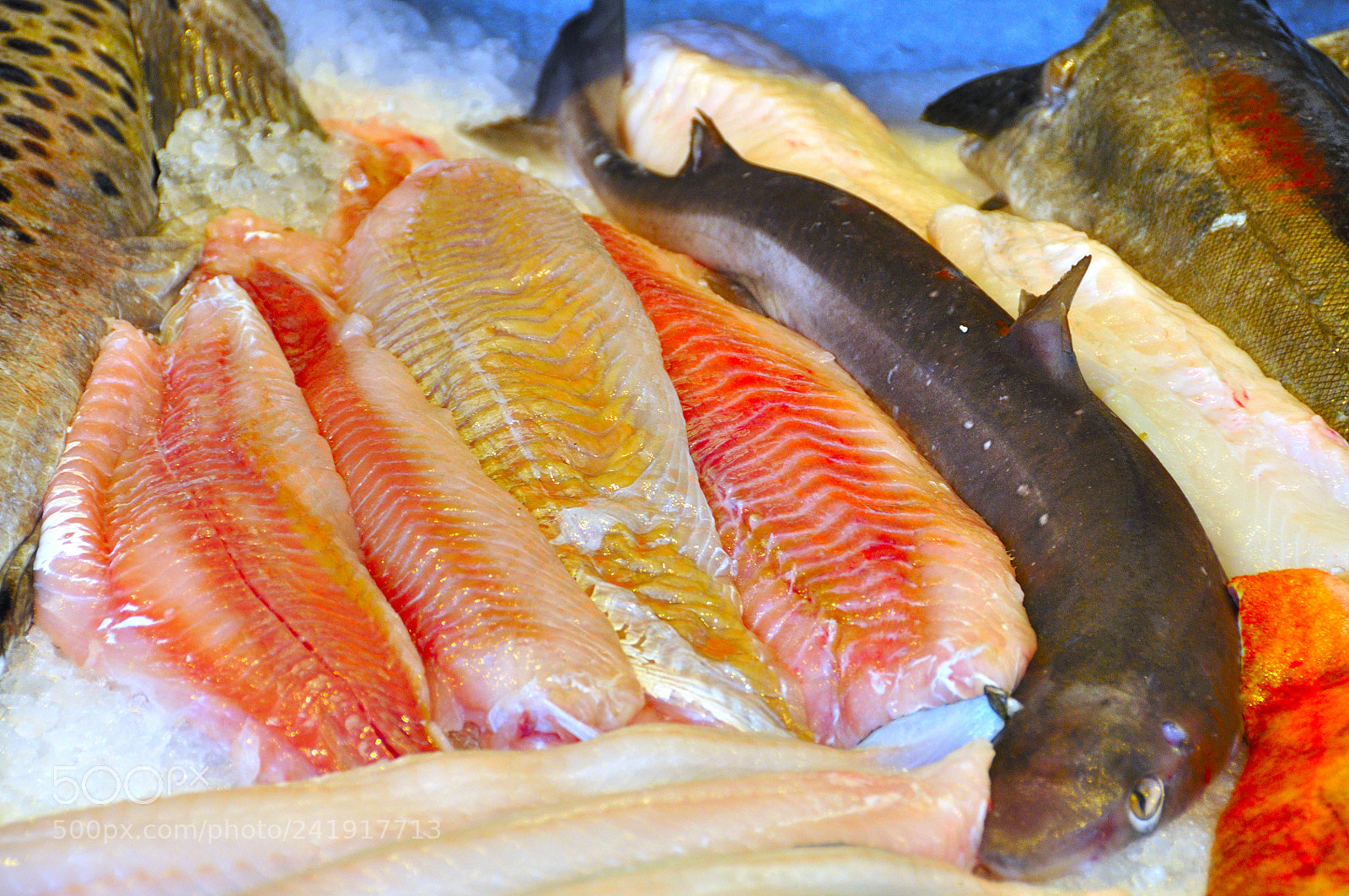 Nikon D90 sample photo. Fish market of bergen photography