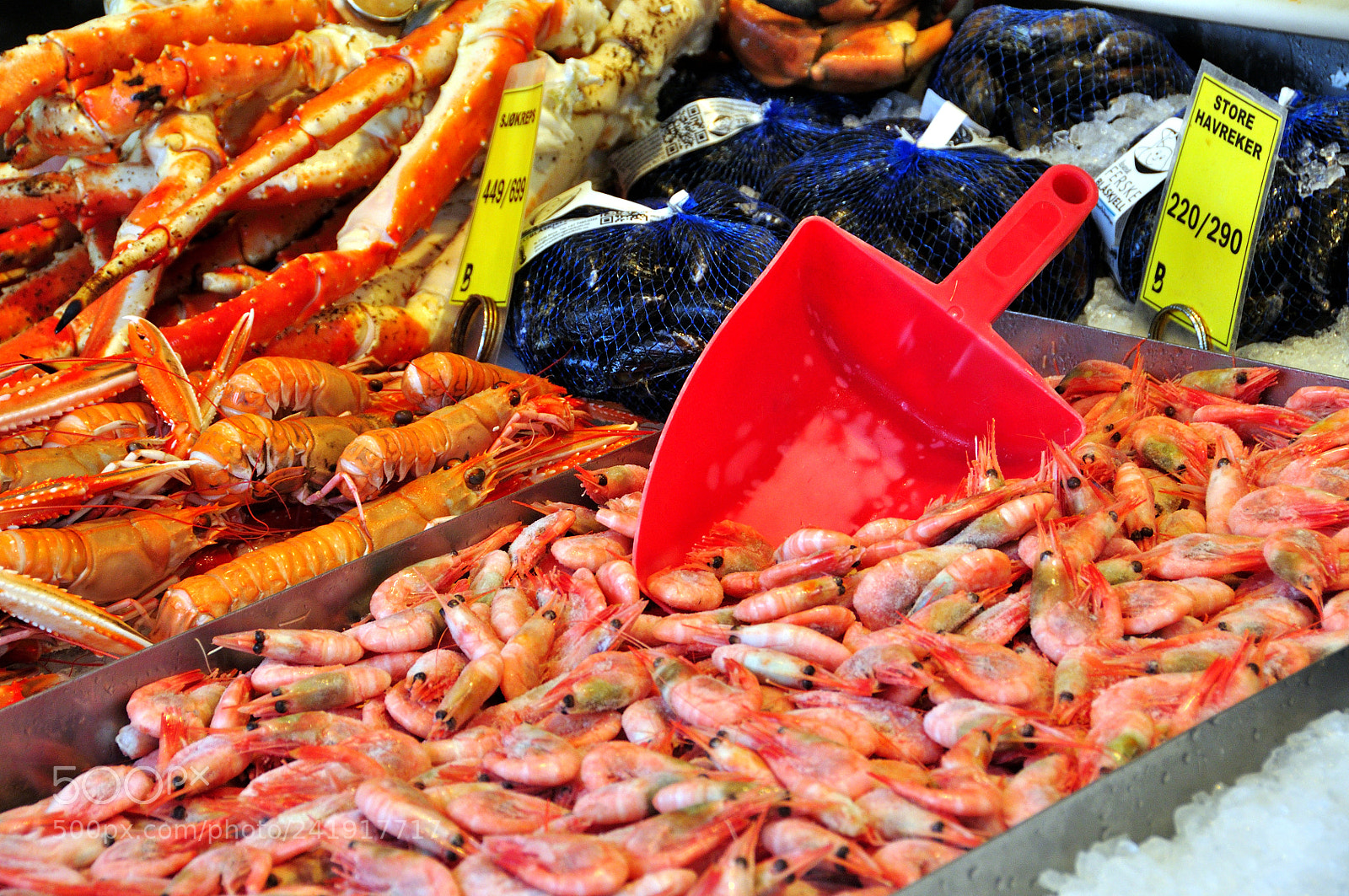 Nikon D90 sample photo. Fish market of bergen photography