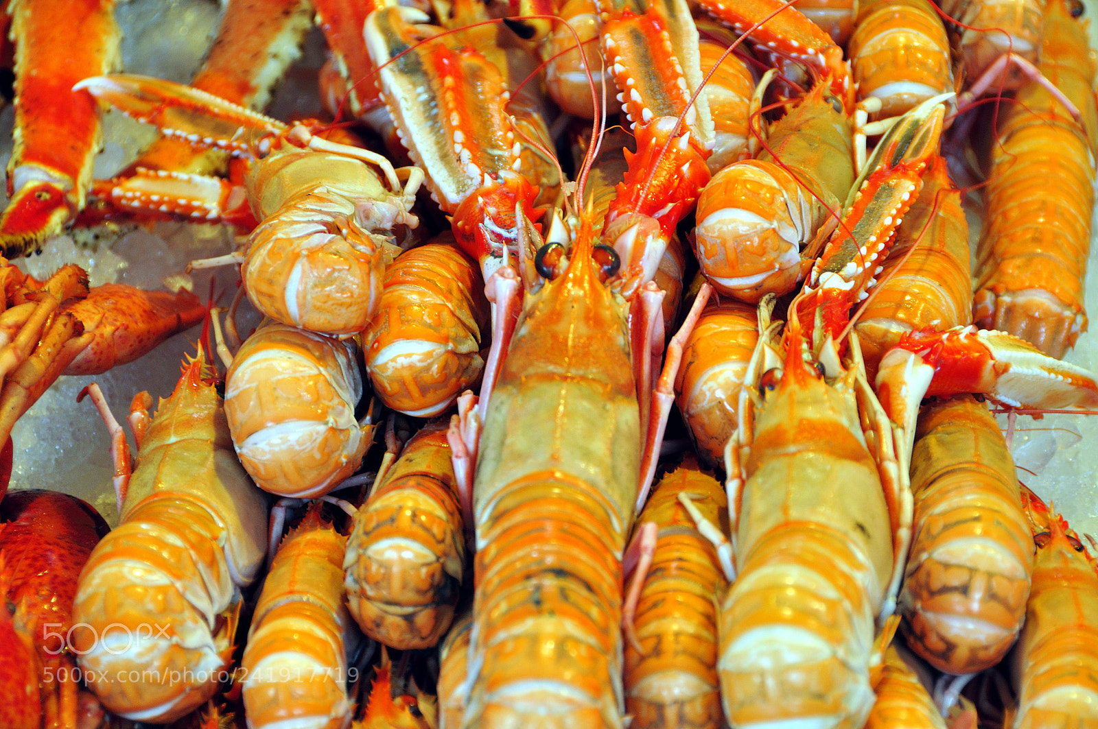 Nikon D90 sample photo. Fish market of bergen photography