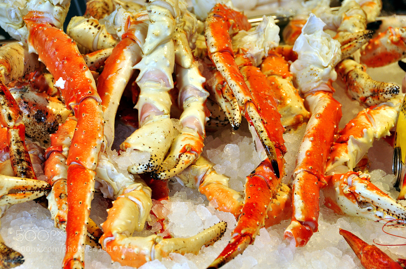 Nikon D90 sample photo. Fish market of bergen photography