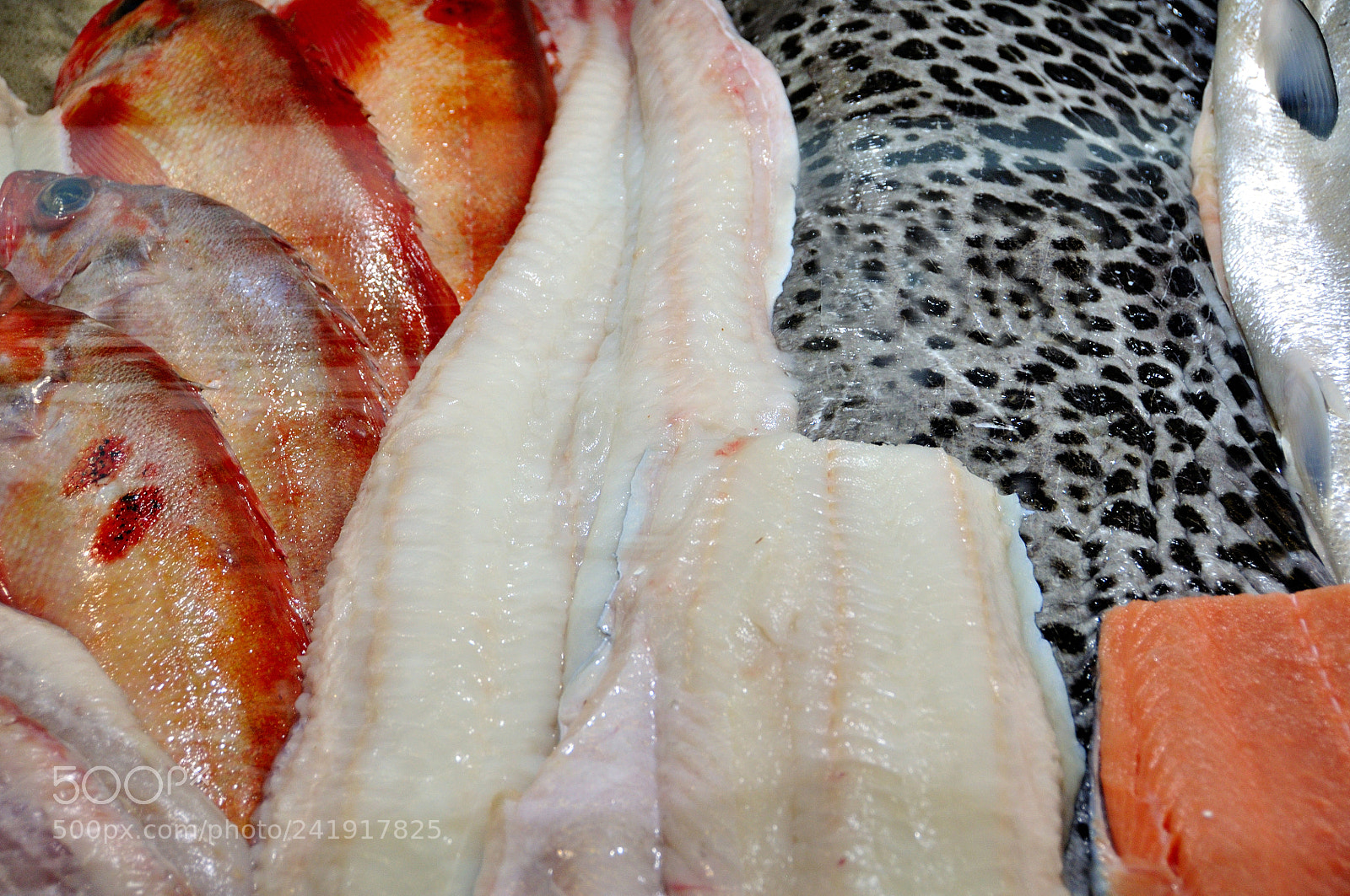 Nikon D90 sample photo. Fish market of bergen photography