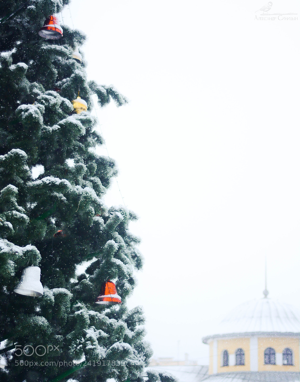 Nikon D7100 sample photo. Christmas tree photography