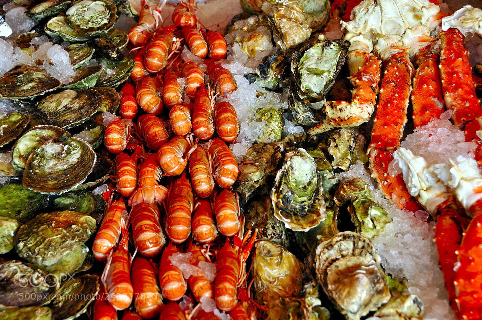 Nikon D90 sample photo. Fish market of bergen photography