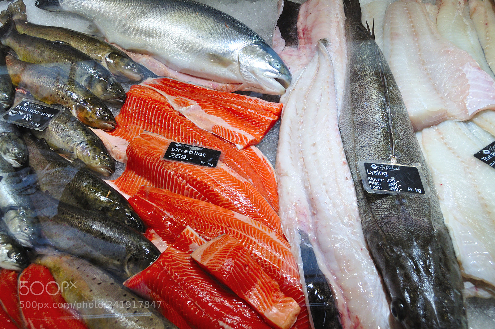 Nikon D90 sample photo. Fish market of bergen photography
