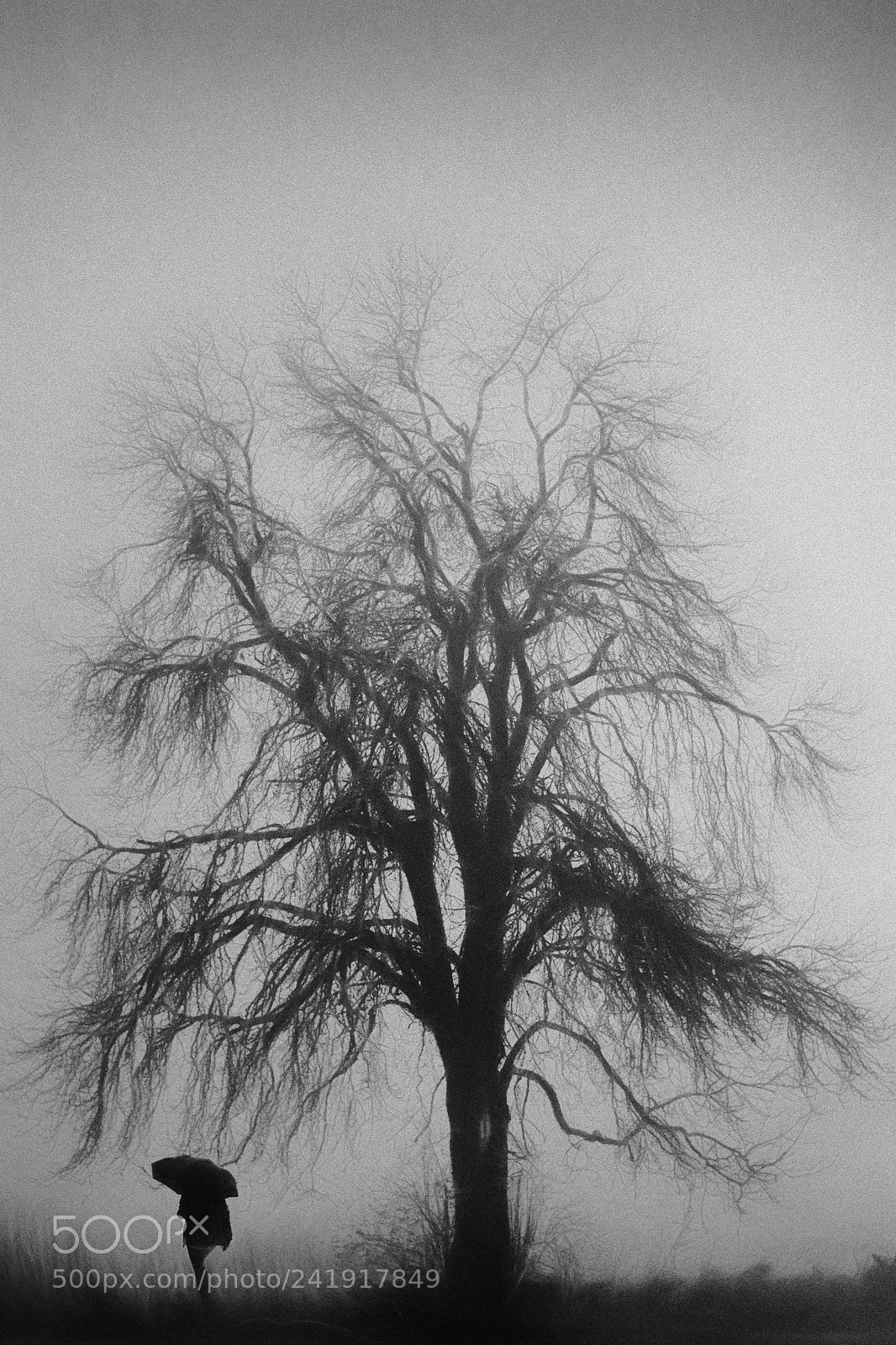 Nikon D3100 sample photo. Bad frankenhausen photography