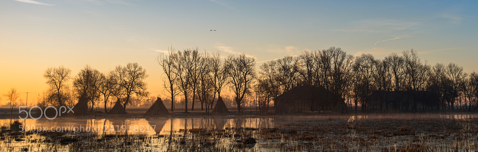 Nikon D800 sample photo. Morning at the lake photography