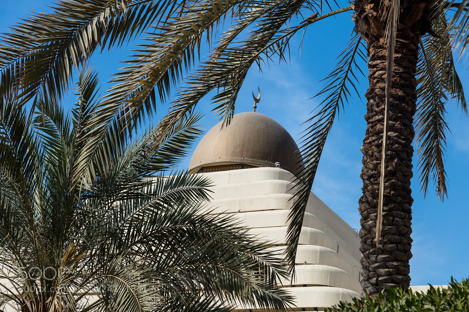 Canon EOS 5DS R sample photo. Architecture behind trees photography