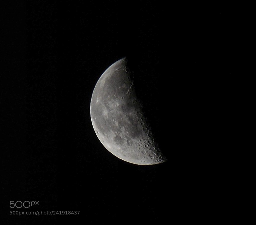Nikon D3200 sample photo. Untitled photography