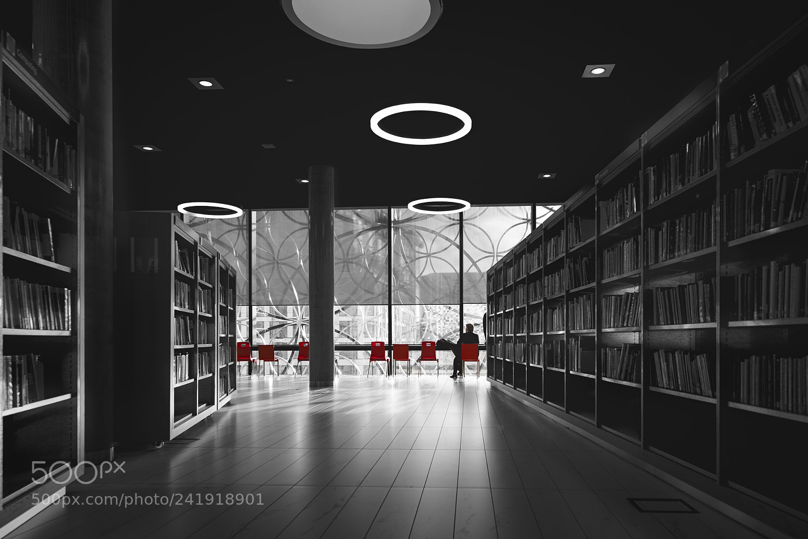 Nikon D810 sample photo. Untitled photography