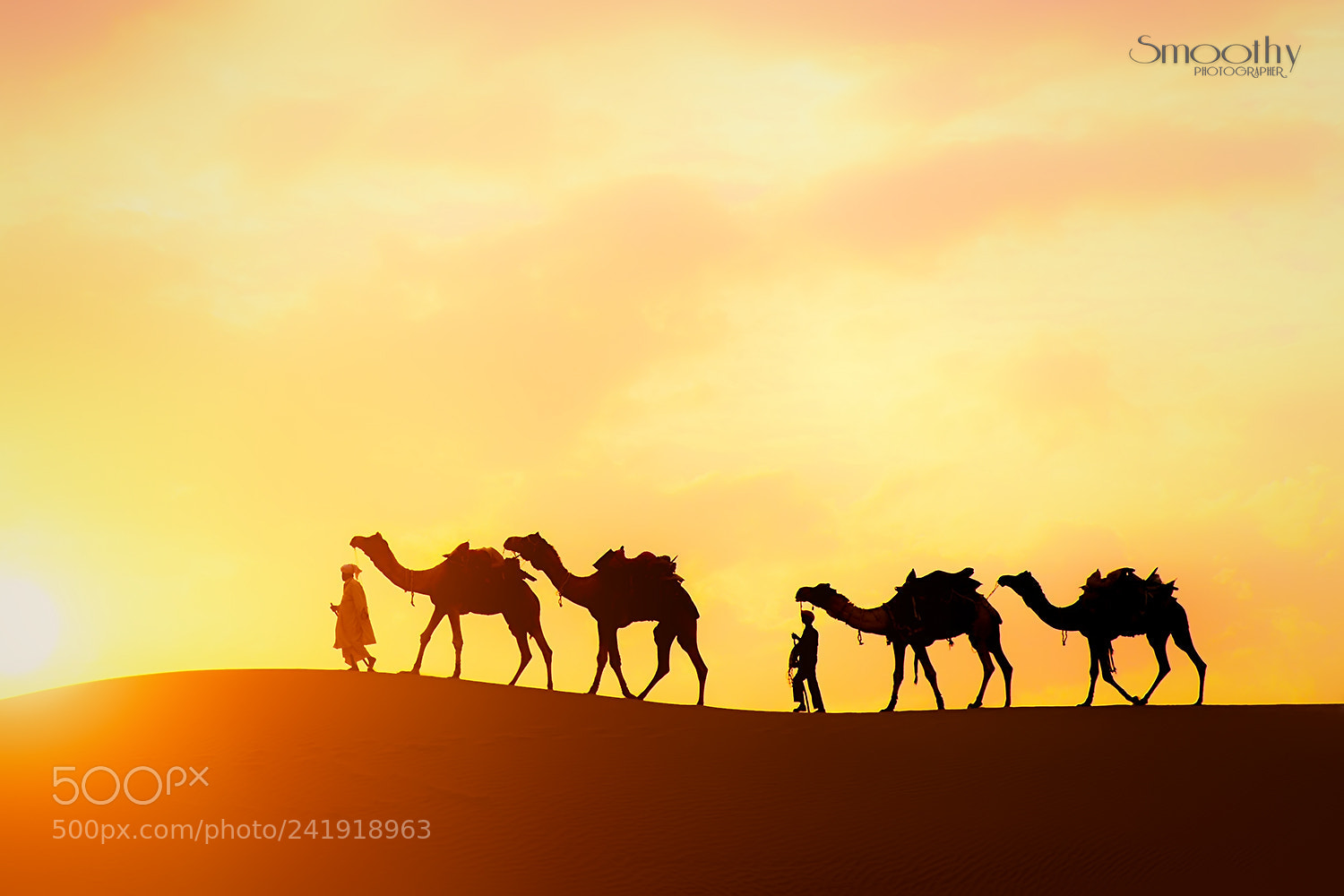 Canon EOS-1D X sample photo. India travel .. photography