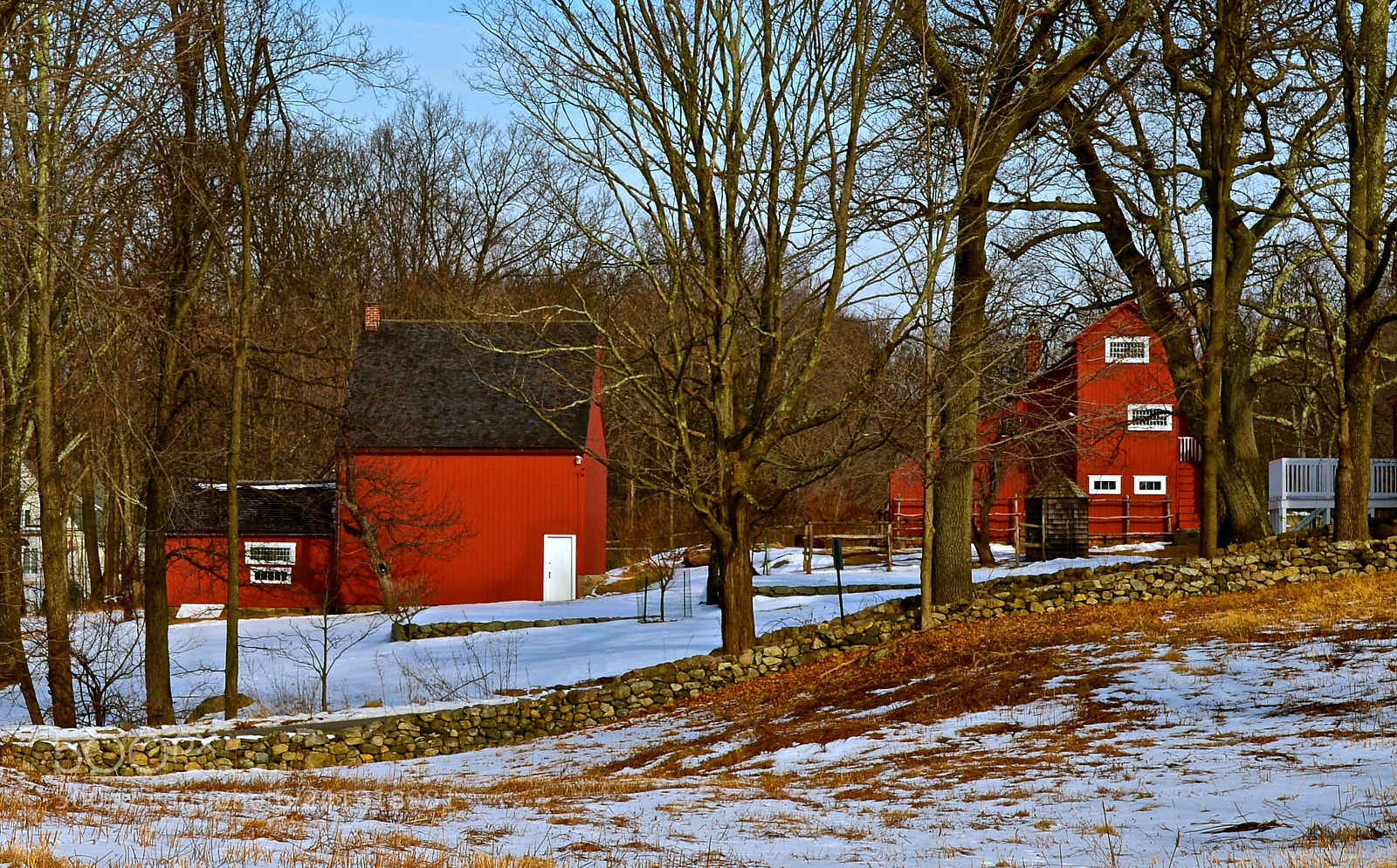 Nikon D600 sample photo. Winter in new england photography