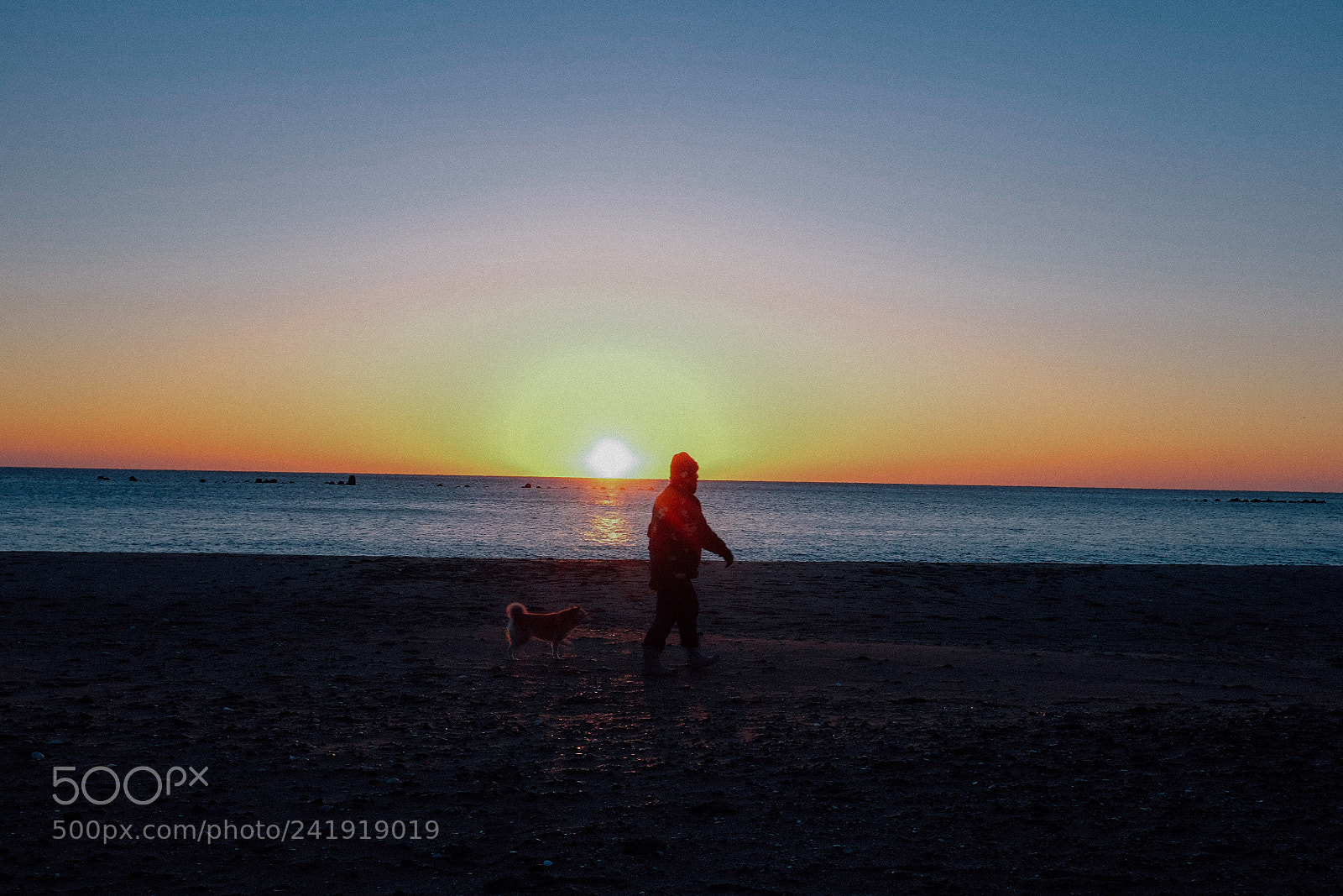 Fujifilm X100S sample photo. Dog-walking photography