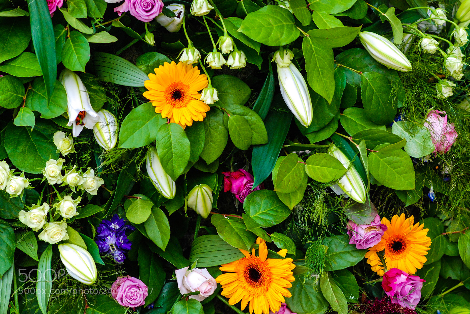 Nikon D80 sample photo. Bunte palette photography
