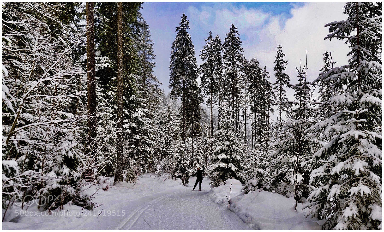 Panasonic Lumix DC-GH5 sample photo. Snow everywhere photography