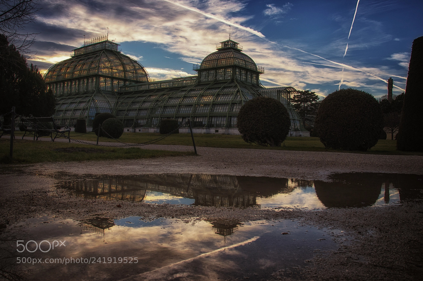 Canon EOS 77D (EOS 9000D / EOS 770D) sample photo. Puddle & palm house photography
