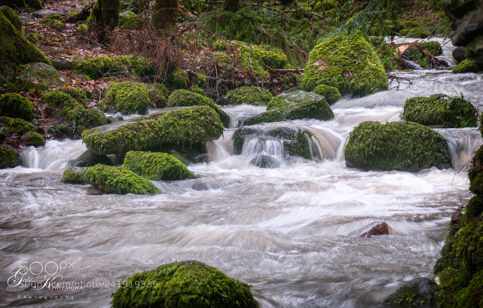 Nikon D300S sample photo. Monbachtal photography