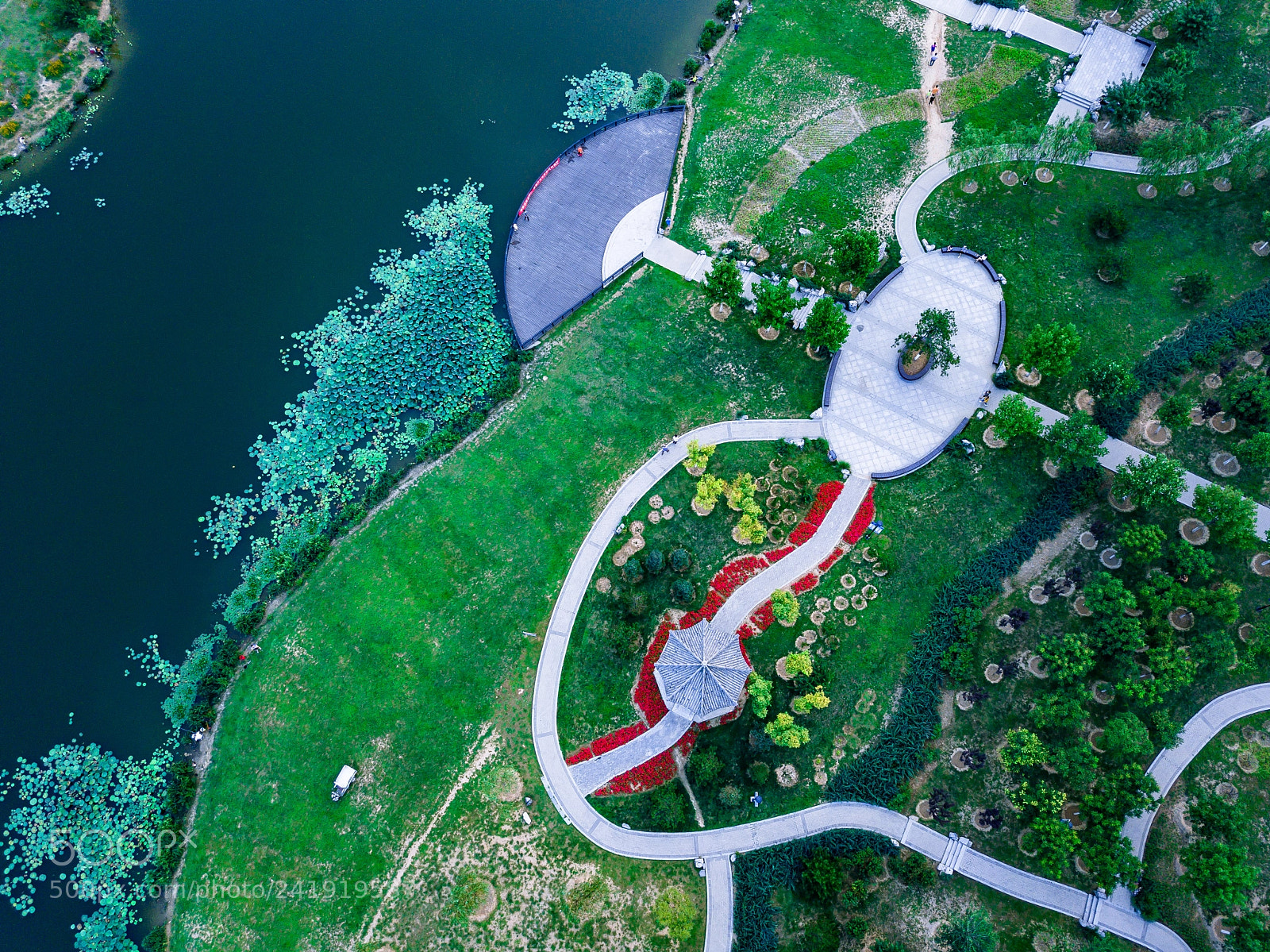 DJI FC220 sample photo. In the sky photography