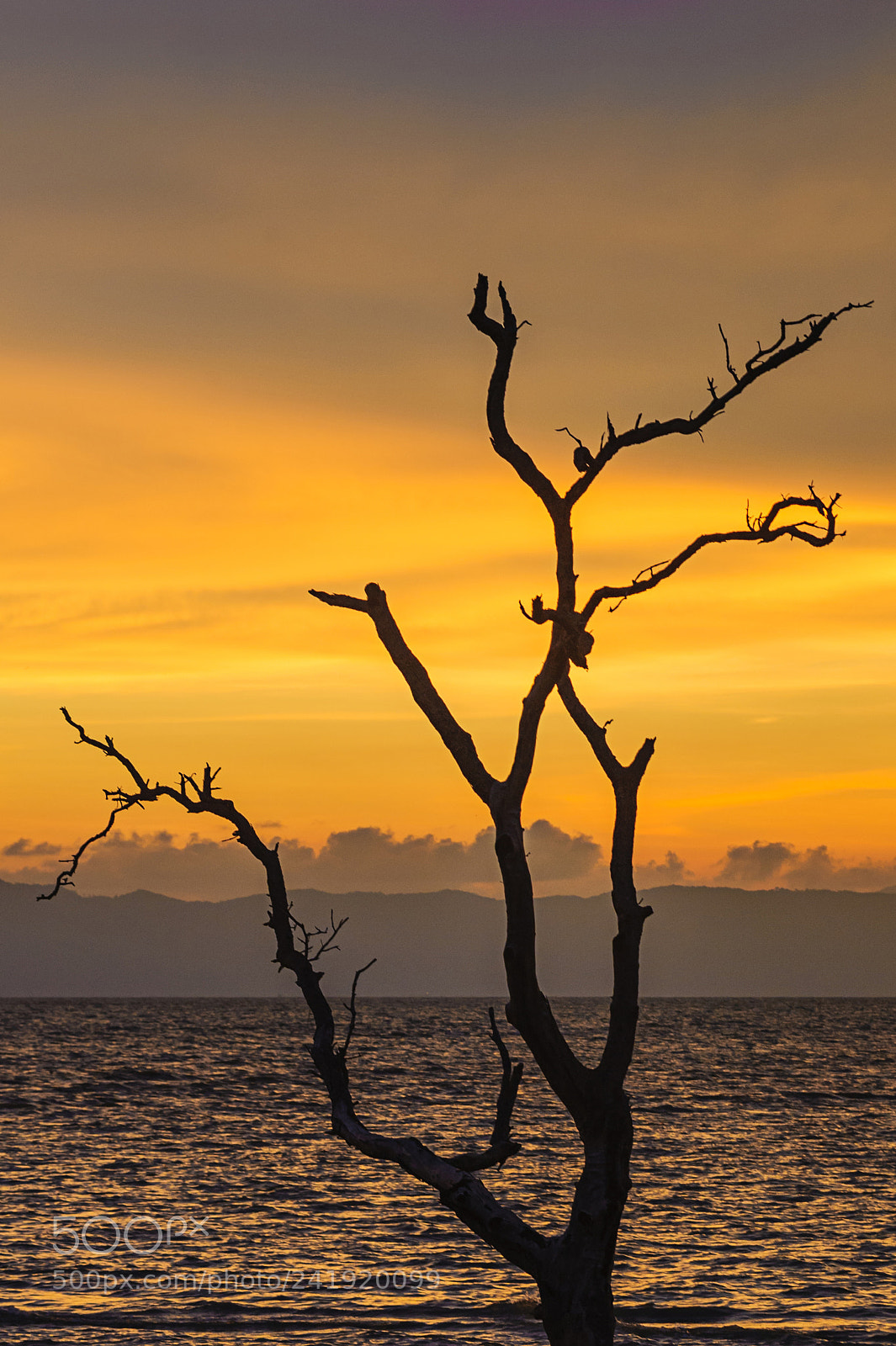 Nikon D700 sample photo. Beautiful sunset at the photography