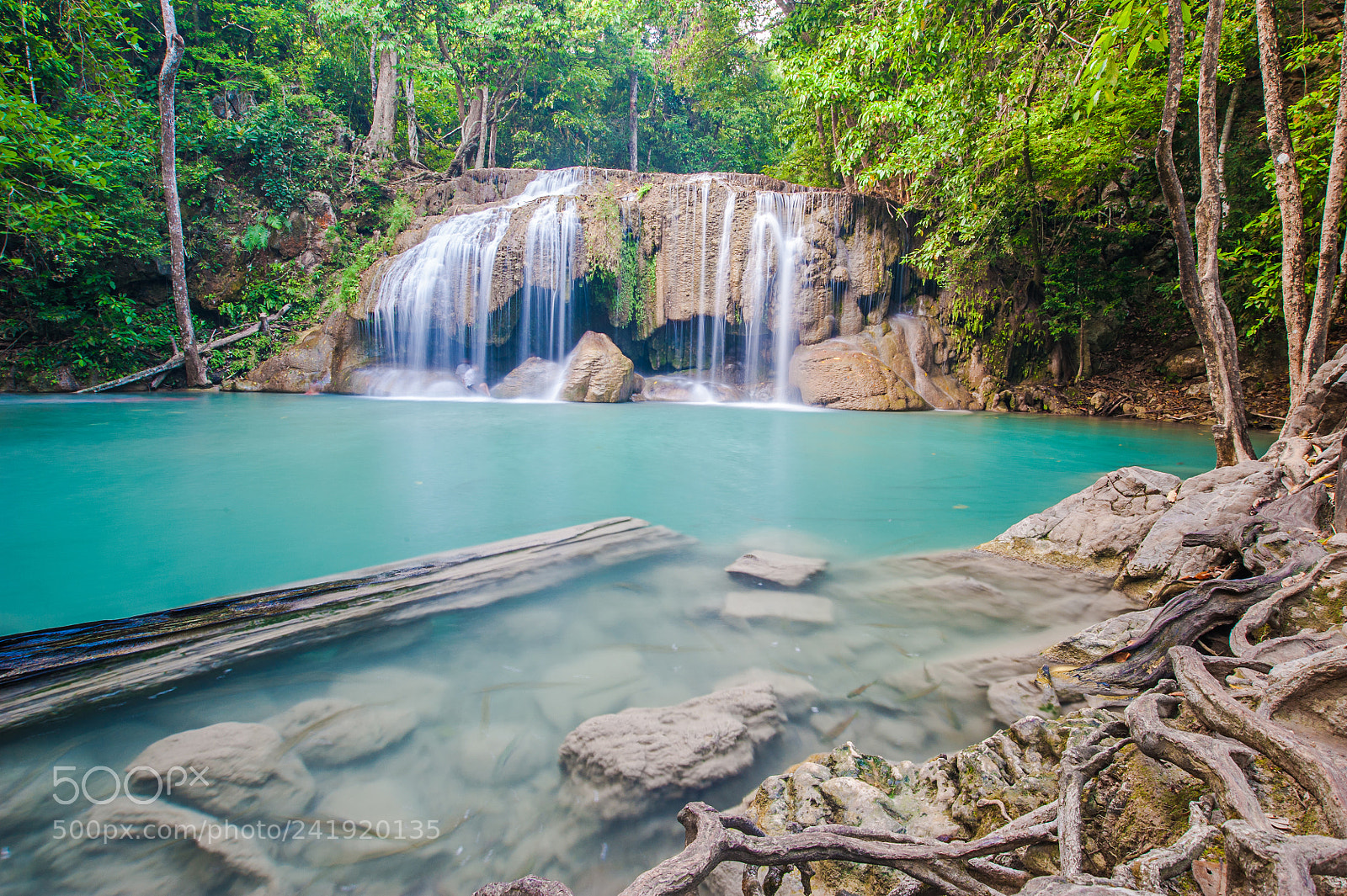 Nikon D700 sample photo. Deep forest waterfall in photography