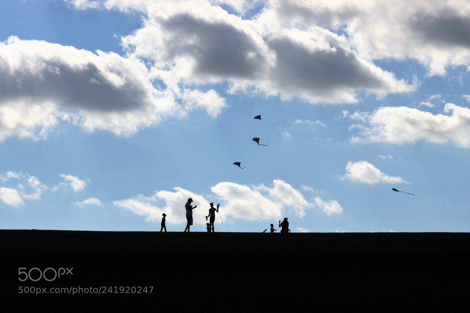 Canon EOS 600D (Rebel EOS T3i / EOS Kiss X5) sample photo. Family flying kites photography
