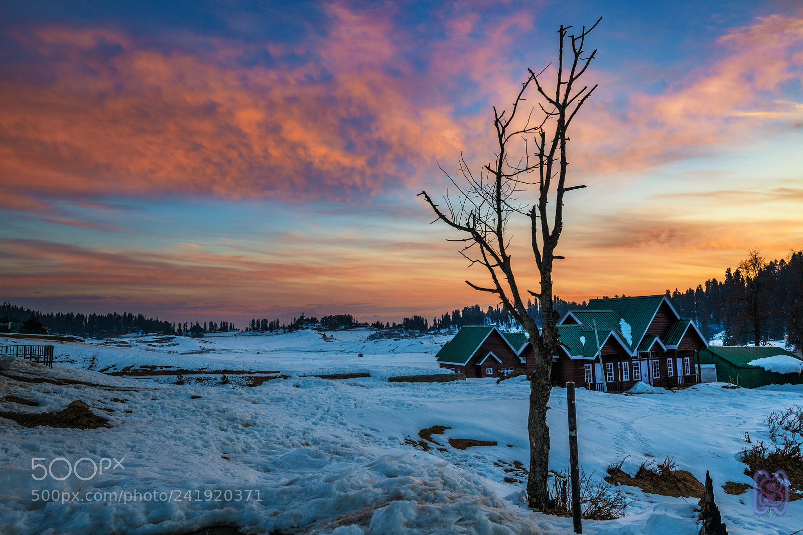 Nikon D850 sample photo. Morning hues of himalayas photography