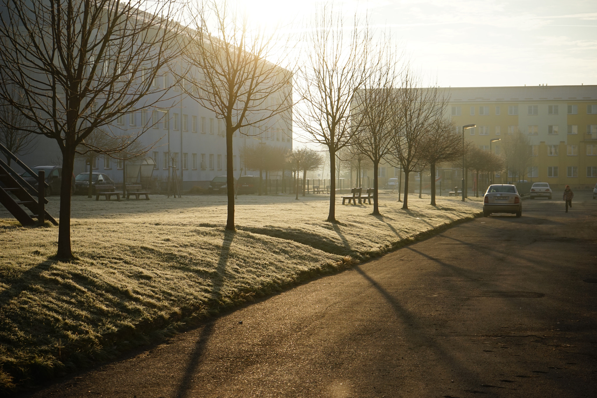 Sony FE 28-70mm F3.5-5.6 OSS sample photo. Frozen morning... photography