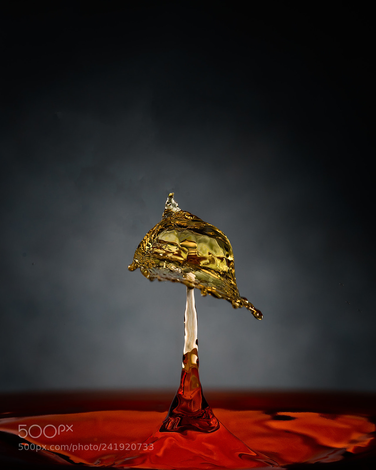 Nikon D810 sample photo. The firemans helmet photography