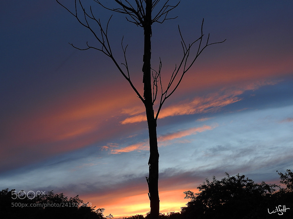 Nikon Coolpix P610 sample photo. Sunset photography